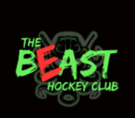 BEAST HOCKEY YOUTH PERFORMANCE HOODED SWEATSHIRT-SHADOW LOGO
