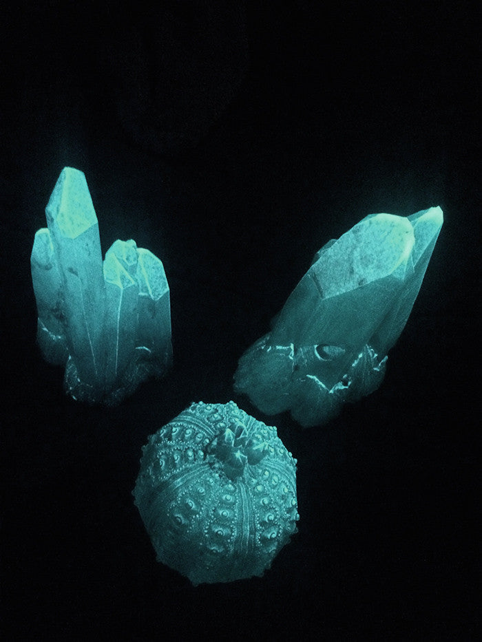 CAST URCHIN LIGHT