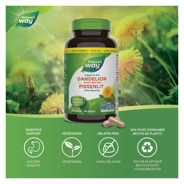 Nature's Way Dandelion Root Information