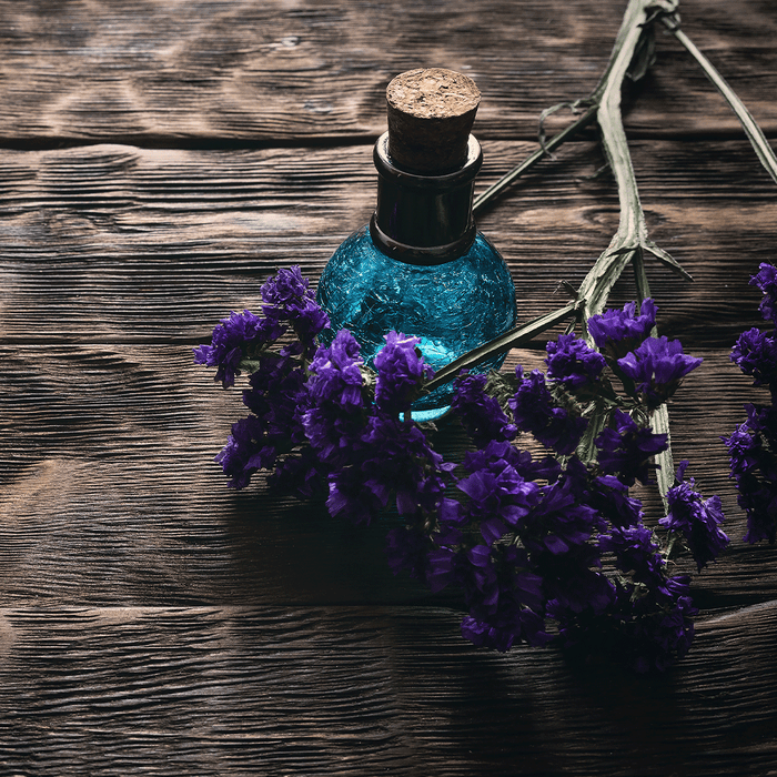 Essence of Nightshade Fragrance Oil 1114