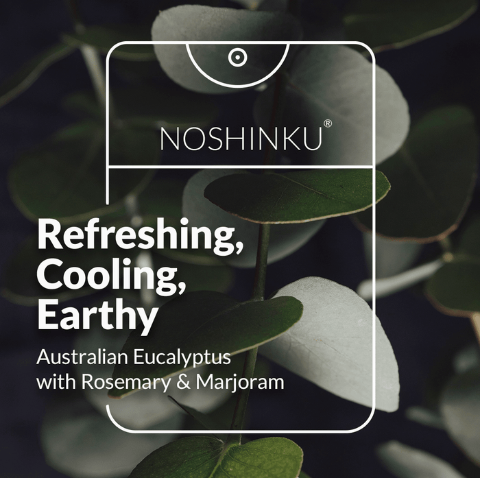 Noshinku Refillable Eucalyptus Moisturizing Pocket Hand Sanitizer - Aesthetics By Kell