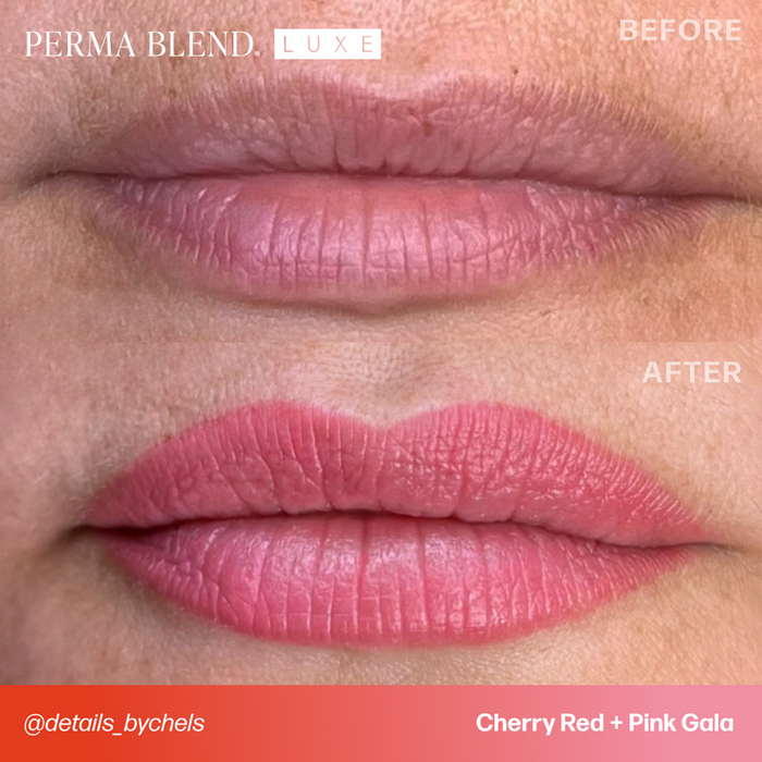 PERMABLEND LUXE Pink Gala 15ml | Permanent Makeup Pigment | PMU Lip Pigment - SD Cosmetics Care