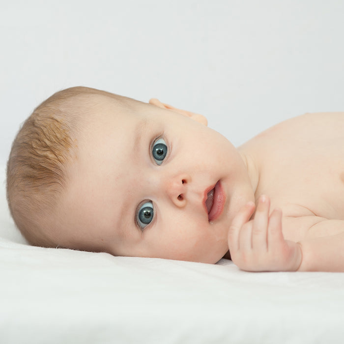 Baby Powder Fragrance Oil 498