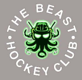BEAST HOCKEY LADIES BOXY 1/2 ZIP FLEECE