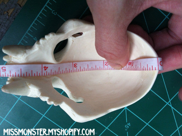 BJD SABERTOOTH SKULL MASK- DIY