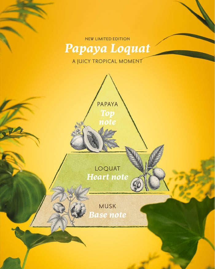 Body Scrub 600gr Papaya Loquat