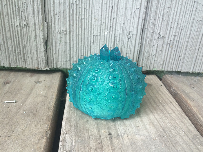 CAST URCHIN LIGHT