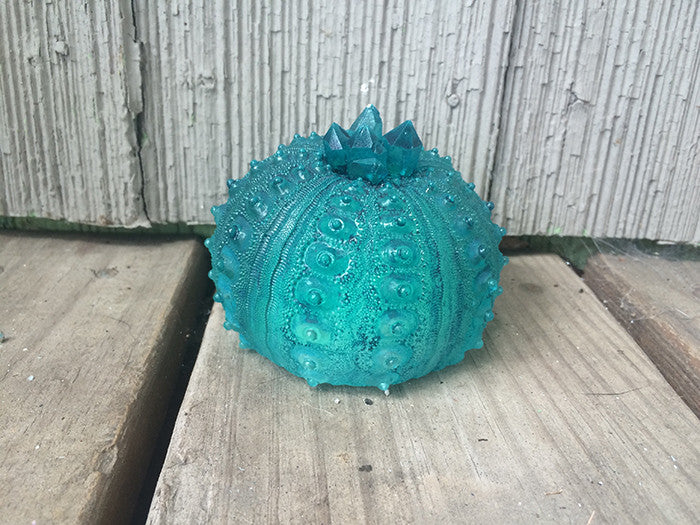 CAST URCHIN LIGHT