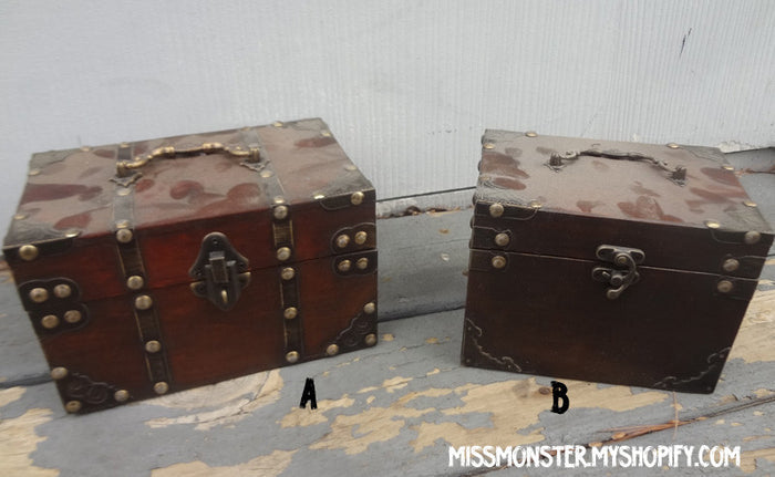 CHIMERA FETUS CASTS WITH BOX