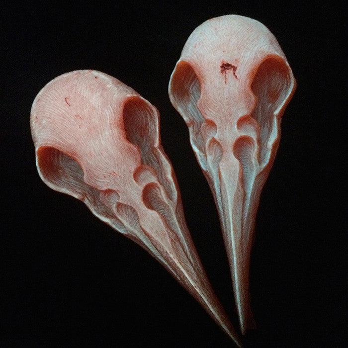 CROW CREATURE- CAST URETHANE SKULL- GLOW IN THE DARK