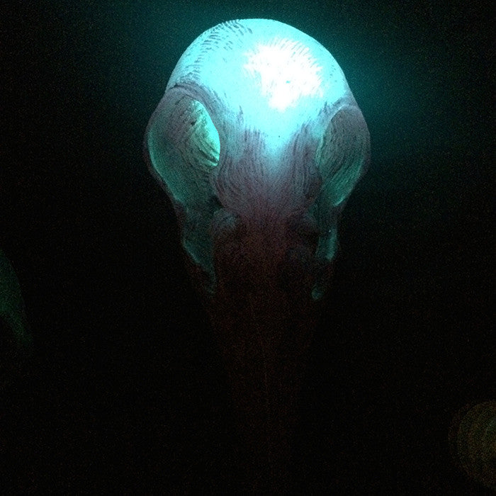 CROW CREATURE SKULL SCONCE