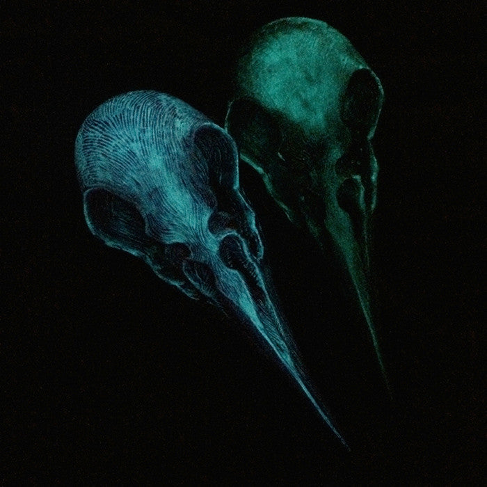CROW CREATURE SKULL SCONCE