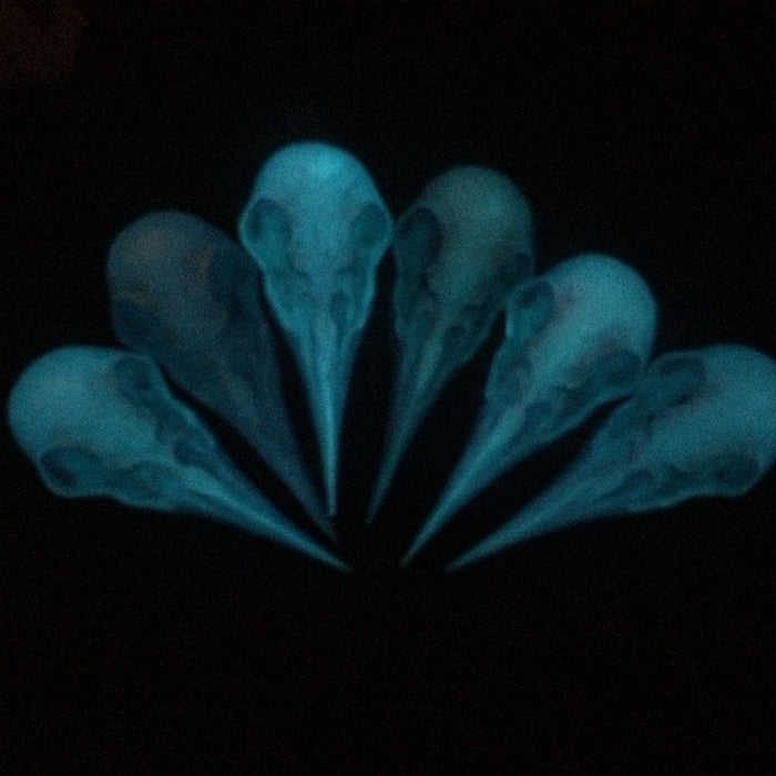CROW SKULL SCONCE- PURPLE WITH PURPLE LED
