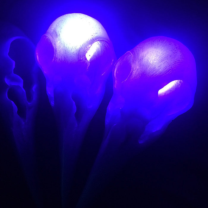CROW SKULL SCONCE- PURPLE WITH PURPLE LED