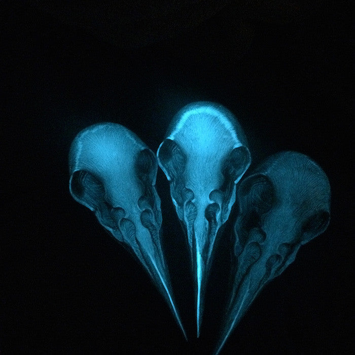 CROW SKULL SCONCE LIGHT