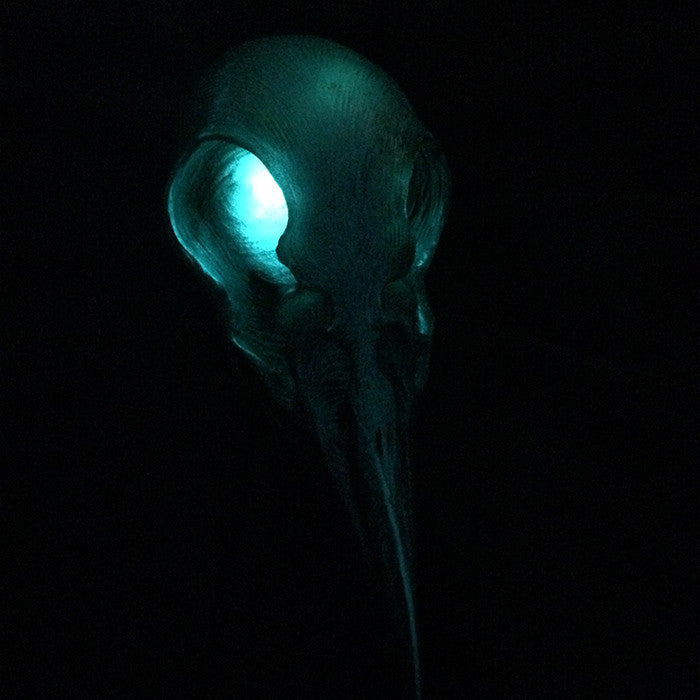 CROW SKULL SCONCE LIGHT