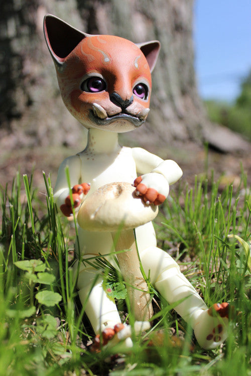 CUSTOM PIPOS "BAHA" BJD- SHIBA INU FOO DOG