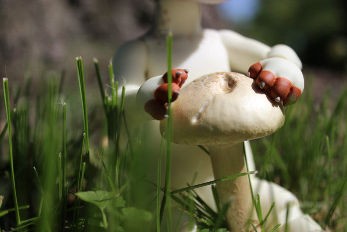 CUSTOM PIPOS "BAHA" BJD- SHIBA INU FOO DOG