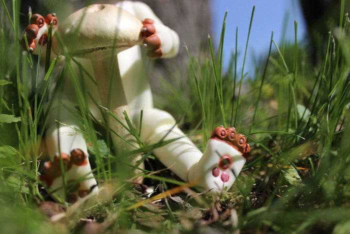 CUSTOM PIPOS "BAHA" BJD- SHIBA INU FOO DOG