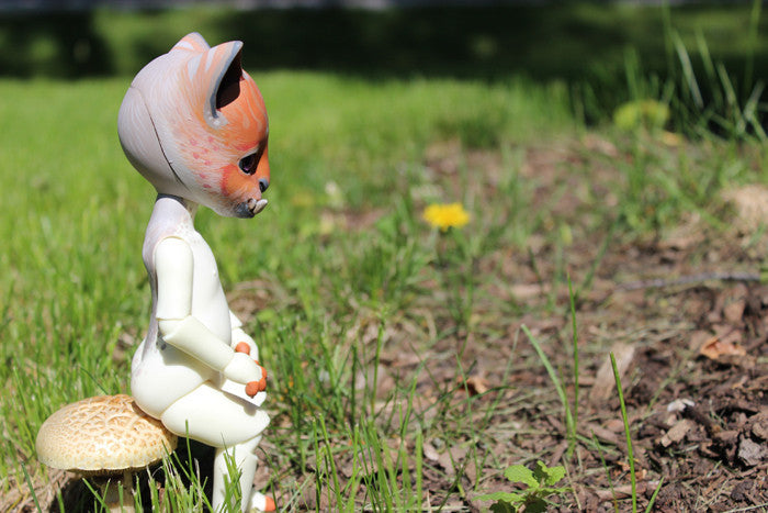 CUSTOM PIPOS "BAHA" BJD- SHIBA INU FOO DOG