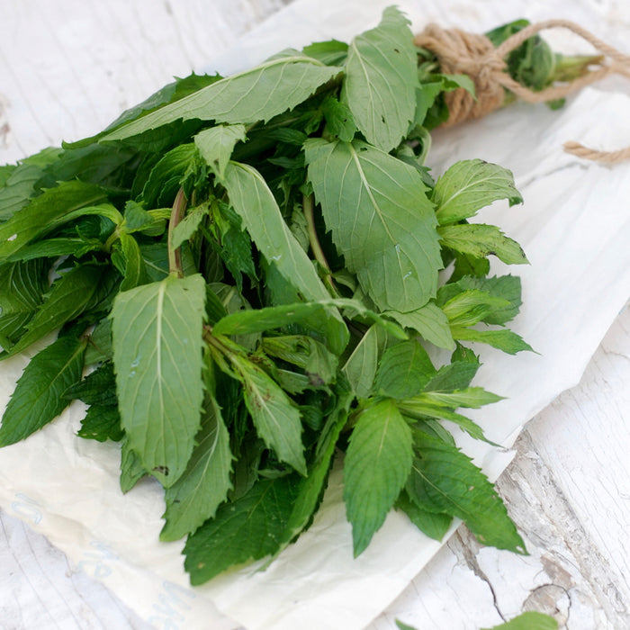 Eucalyptus Spearmint - EO & FO Blend 608