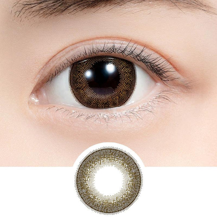 Close-up shot of model's eye adorned with Feliamo 1-Day Chestnut (10pk) daily color contact lenses with prescription, paired with clean-girl eye makeup, showing the brightening and enlarging effect of the circle contact lens on dark brown eyes, above a cutout of the contact lens with limbal ring on a white background.