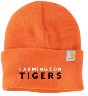 FES CARHARTT WATCH CAP 2.0