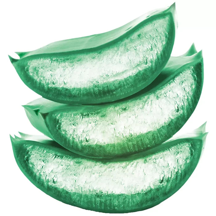 GARNIER Fructis Pure Clean Purifying Shampoo - Silicon Free  غارنييه شامبو منقي خالٍ من السيليكون