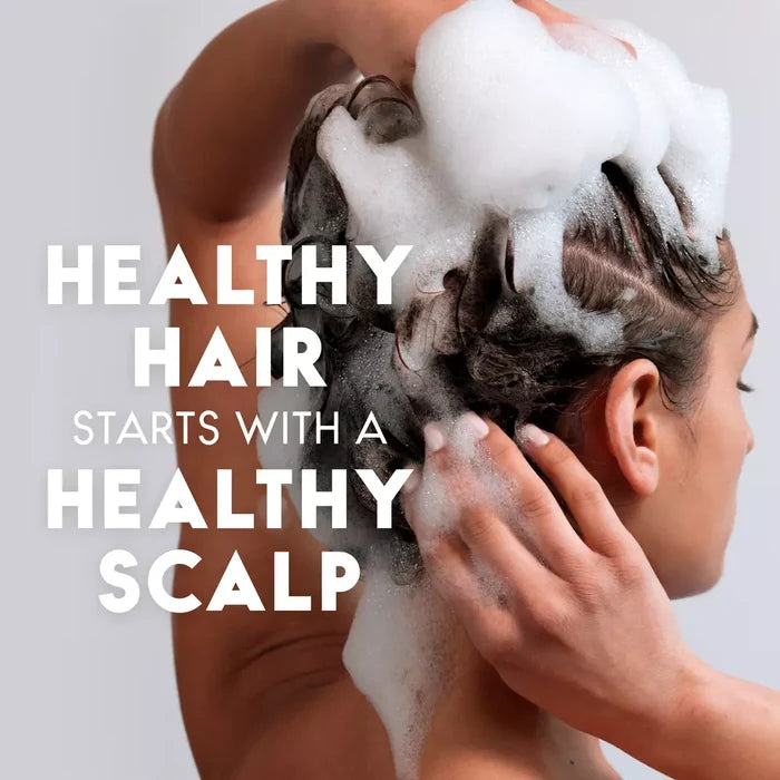 HEAD & SHOULDERS Pyritinol Zinc Dandruff Shampoo Classic Clean  هيد اند شولدرز شامبو ضد القشرة كلاسيك كلين