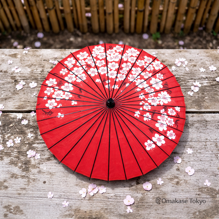 Red Big Plum Pattern