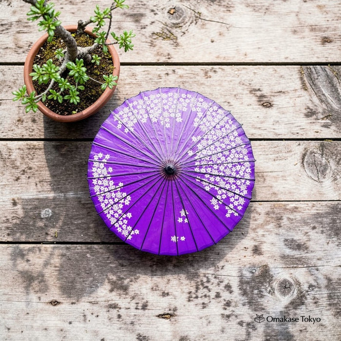 Japanese Paper Umbrella (Wagasa)