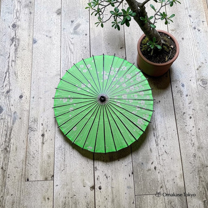 Japanese Paper Umbrella (Wagasa)