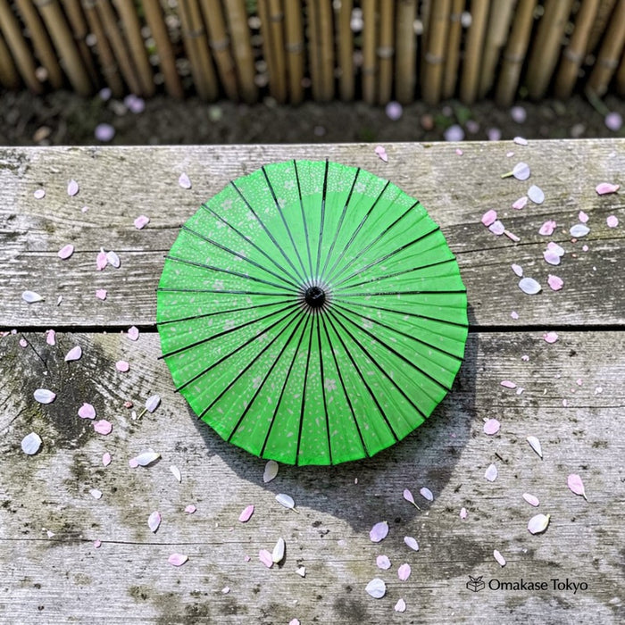 Japanese Paper Umbrella (Wagasa)