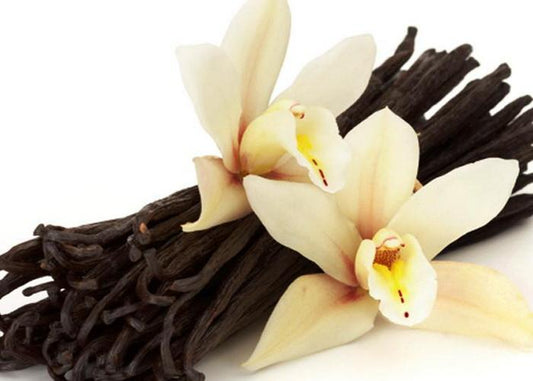 iStock_Sarongvanilla_S1TTQOEKDDXG.jpg