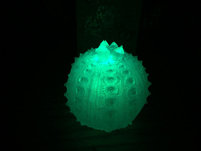 KORY ONLY- custom listing -CAST URCHIN LIGHT