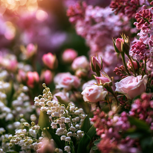 Lilac in Bloom Fragrance Oil 87