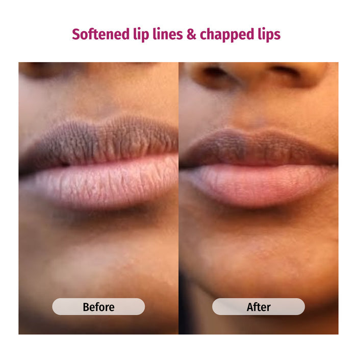 vilvah grapefruit lip balm softs lip lines and chapped lips