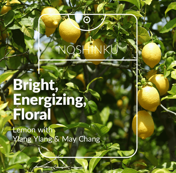 Noshinku Refillable Lemon Ylang-Ylang Moisturizing Pocket Sanitizer - Aesthetics By Kell