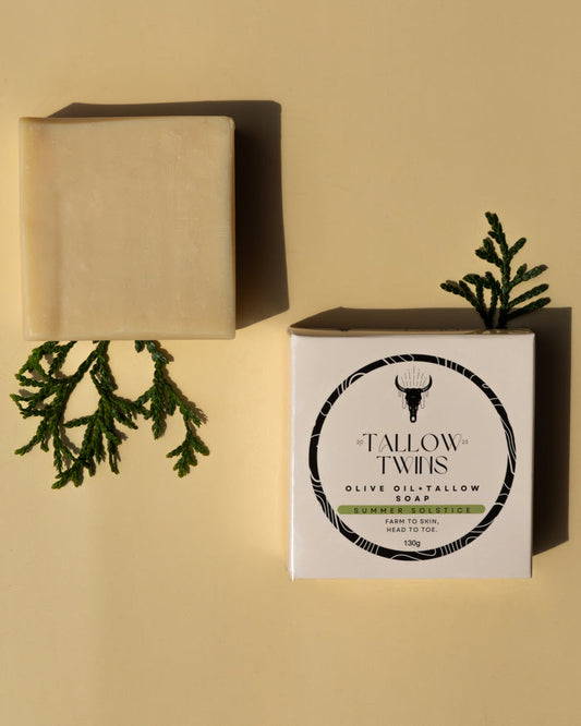 Summer Solstice olive oil and tallow soap bar beside its box, with a sprig of cedar.