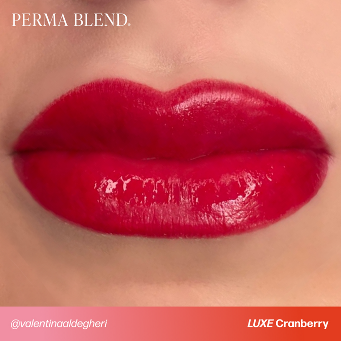 Permablend LUXE Cranberry 15ml / Permanent makeup Pigment - SD Cosmetics Care