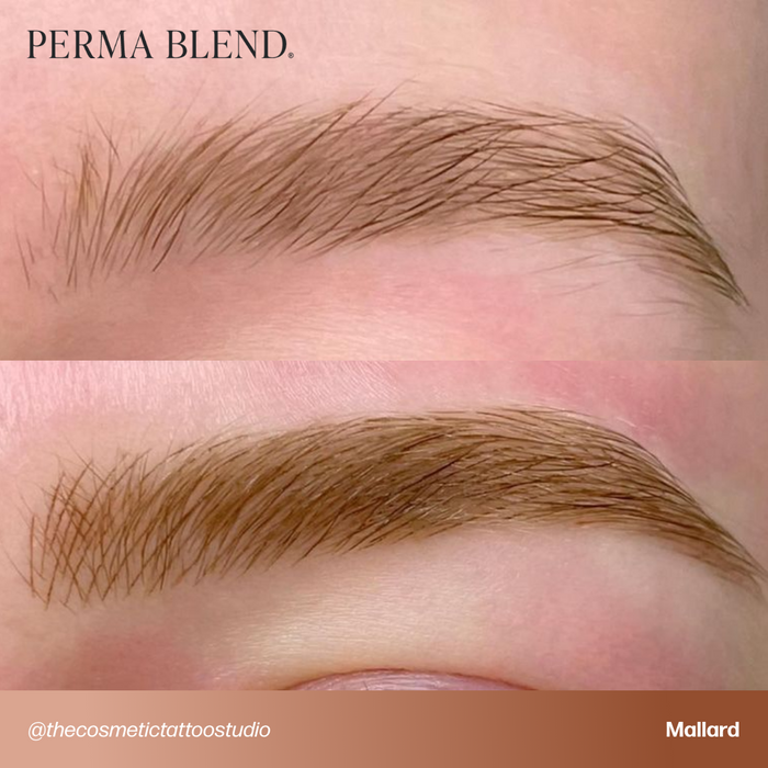 Permablend Mallard - Dark Brown Brow Pigment with Medium Opacity for Authentic Color - SD Cosmetics Care