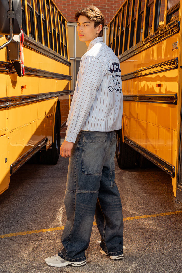 Pinstriped Graphic Button-Up Top
