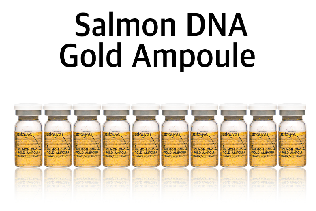 Stayve Salmon DNA Gold Ampoule 8ml 1 vial - Luxurious Anti-Aging Serum with Collagen Boost & Radiance - SD Cosmetics Care
