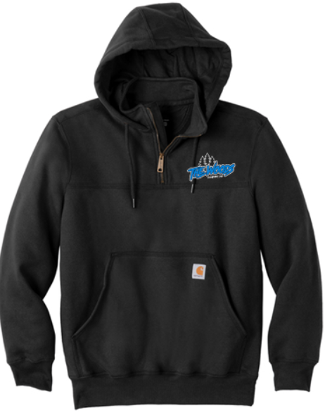 THE WOODS CARHARTT RAIN DEFENDER PAXON HEAVYWEIGHT HOODED ZIP MOCK SWEATSHIRT