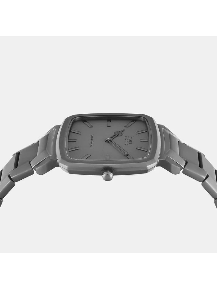 Timex Timex Signio Round Grey Dial Analog Watch - TWEG34102