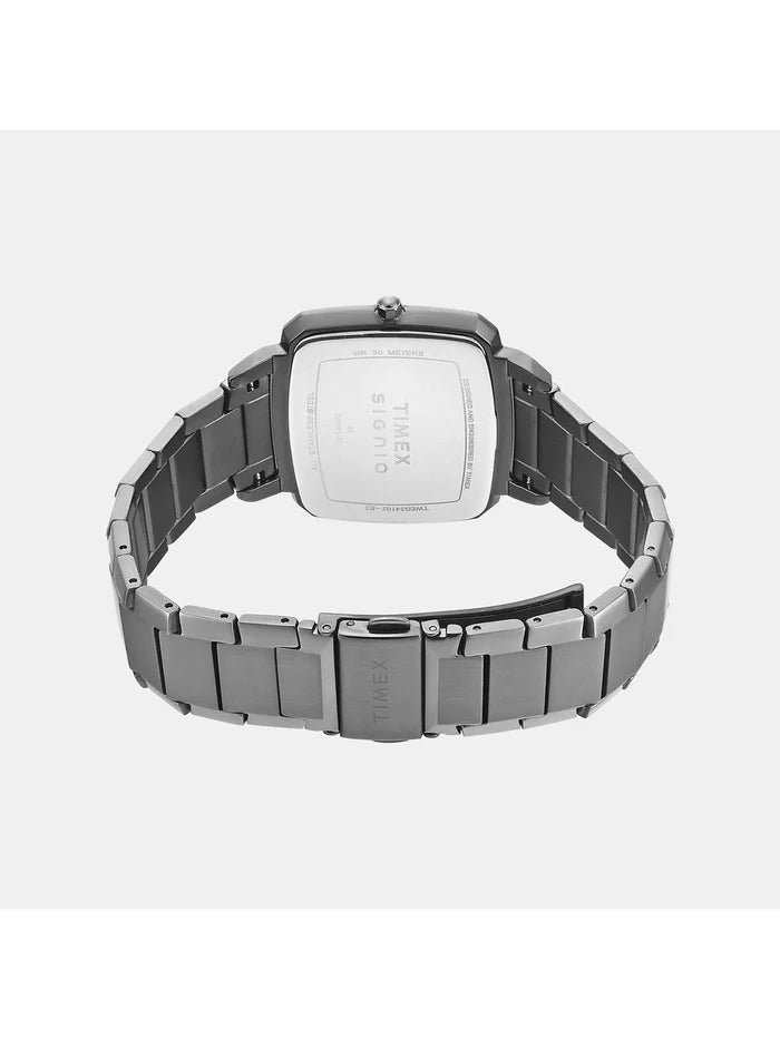 Timex Timex Signio Round Grey Dial Analog Watch - TWEG34102