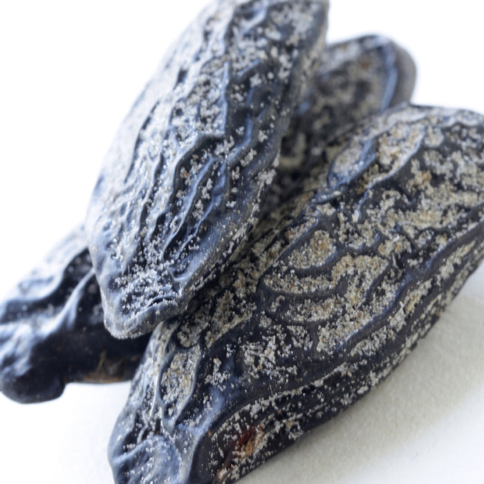 Tonka Bean Noir Fragrance Oil 536