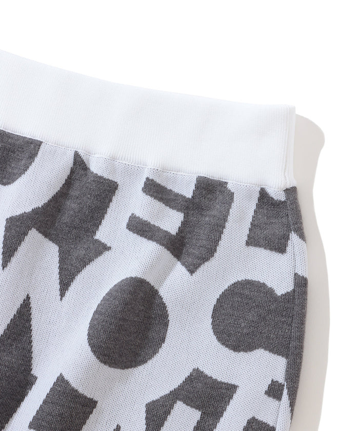 Vision JQ Knit Skirt | WOMEN
