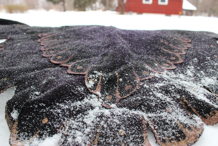 WING SHAWL WRAP