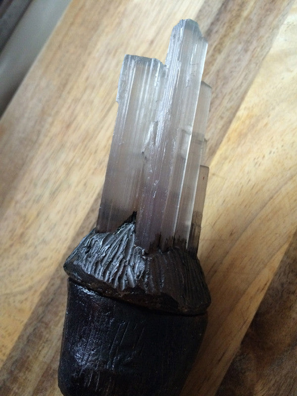 WIZARD WAND HORN SCONCE LIGHT